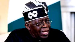 Tinubu’s re-election will ensure sustenance of economic, social reforms – US-based entrepreneur