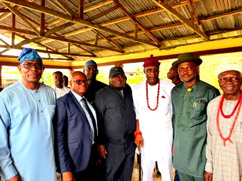 Reps seek completion of NDPHC’s 330kV transmission project
