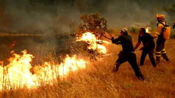 Spain fights to ‘save lives’ as wildfires rage near Madrid