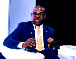 Nigeria should prioritise energy sufficiency over transition – Chris Ezeafulukwe