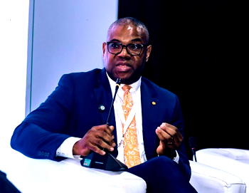 Nigeria should prioritise energy sufficiency over transition – Chris Ezeafulukwe