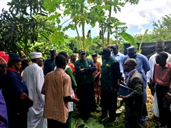 FG rolls out 1 million improved hybrid cocoa seedlings to boost production