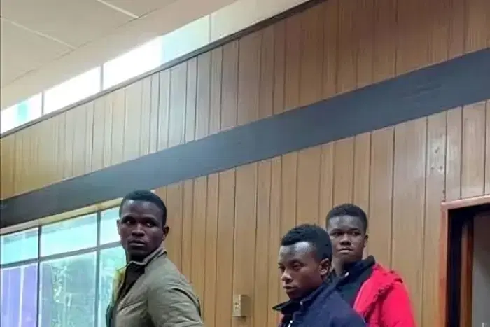 Three brothers charged with murder after beating mother’s boyfriend to death