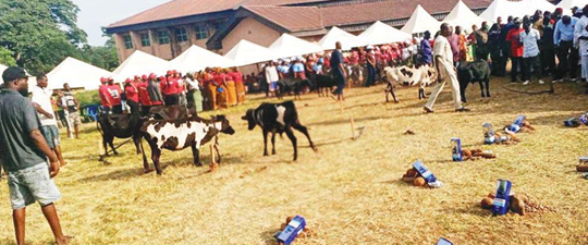 Oke-Aku, a celebration that unites Ezza people of Ebonyi