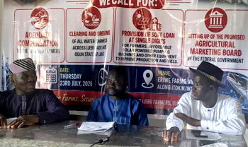 Flood: Ijebuland fish farmers seek Tinubu, Abiodun’s intervention over N700m losses