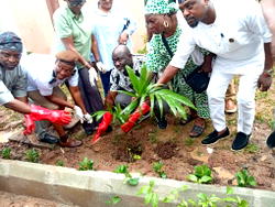 Ikeja LG boss reaffirms commitment to safe environment, targets 1,000 tree planting