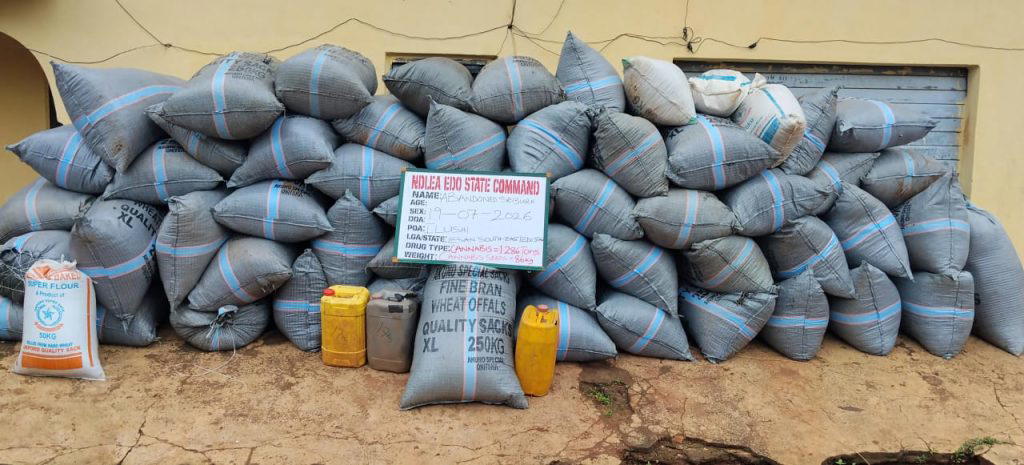NDLEA arrest two suspects with over 1,359kg cannabis in Edo