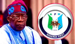 Alleged Drug Records: Presidency’s bid to block FBI report heightens suspicion of guilt — APM