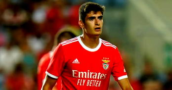 Bournemouth sign Portugal defender Silva for £25m from Benfica