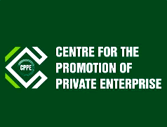 CPPE seeks development finance overhaul to bridge N50trn real sector funding gap