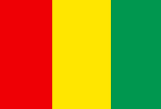 Guinea opts out of ECOWAS single currency, retains franc