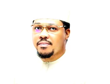 The greatest failure is the absence of legislative oversight and accountability – Ayo Adio