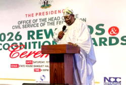 Why reward for high-performing civil servants Is imperative – Olaopa