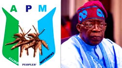 N27trn subsidy funds: APM accuses Tinubu govt of ‘litany of lies’