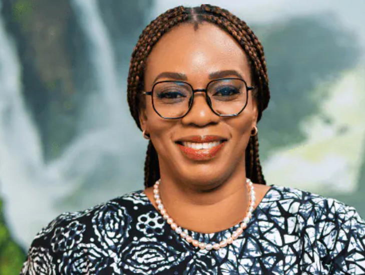 MultiChoice Nigeria clarifies ownership structure under Canal+