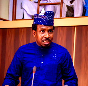 Gombe lawmaker seeks details on new governor’s residence project