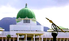 NASS houses over 14,000 workforce daily, excluding lawmakers, visitors — CNA