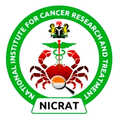 Proposed cancer institute to position Nigeria as Africa’s cancer care hub — NICRAT DG