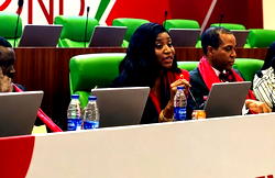 Natasha Oyibo advocates greater inclusion of women in policy, decision-making in Nigeria