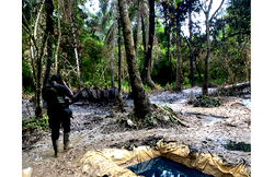 Navy disrupts three illegal refineries, recovers 85,000 litres in Rivers
