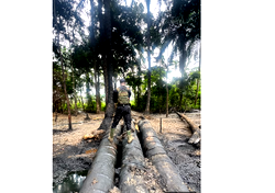 Navy disrupts illegal refining, recovers 103,000 litres in Rivers