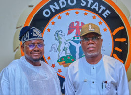 Ondo electricity law will reduce poverty, boost agriculture — Arobo