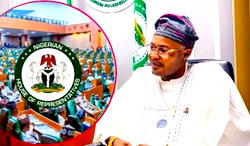 PFIPC probe: Businessman tells Reps how he  paid Adeyemi N400m for contract