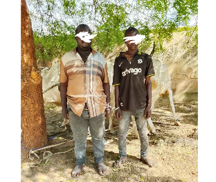 Bauchi police arrest two over alleged cattle rustling and attempted bribery