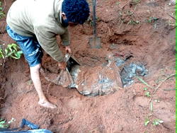 Troops exhume remains of slain Imo community leader from shallow grave