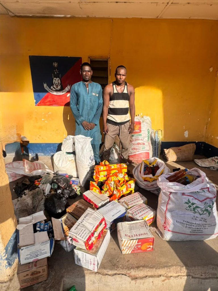 Troops arrest alleged terrorist collaborators in Borno, Yobe