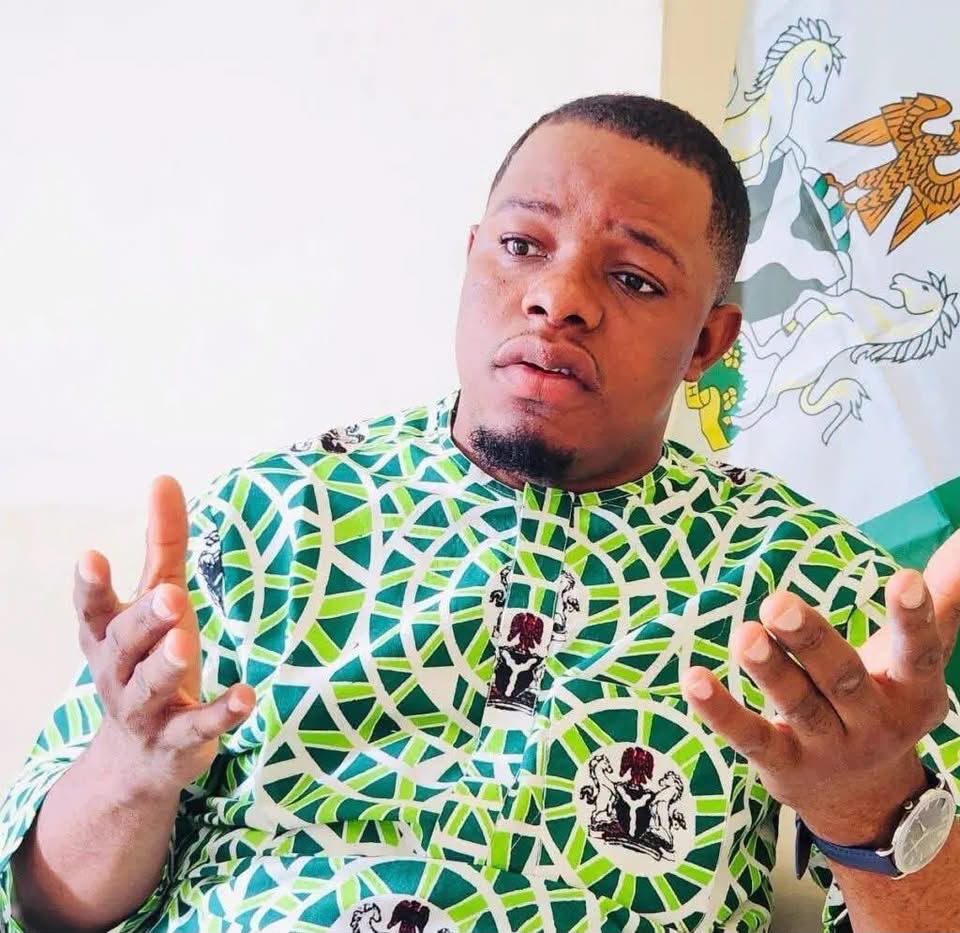2027: Paper certificates don’t guarantee good leadership, Obidike defends Tinubu