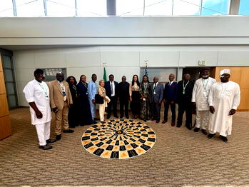 Nigerian Diaspora backs Tinubu’s reforms, partners embassy to boost capital inflows