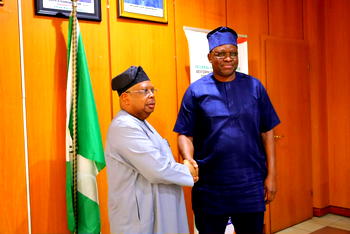 Power minister inaugurates Fayose as REA chairman