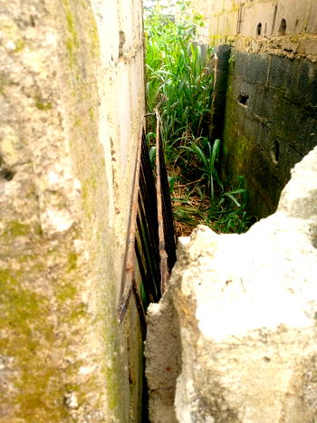 Oke Eletu residents seek security intervention over alleged attacks