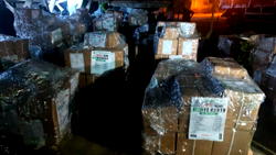 Osun election: Sensitive materials arrive CBN; INEC set to begin distribution