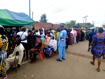 Osun Election: Ede North BVAS fails as herdsmen graze cattle