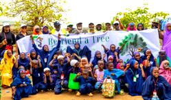 Steron plants 100 trees in Abuja communities, promises sustainable mining