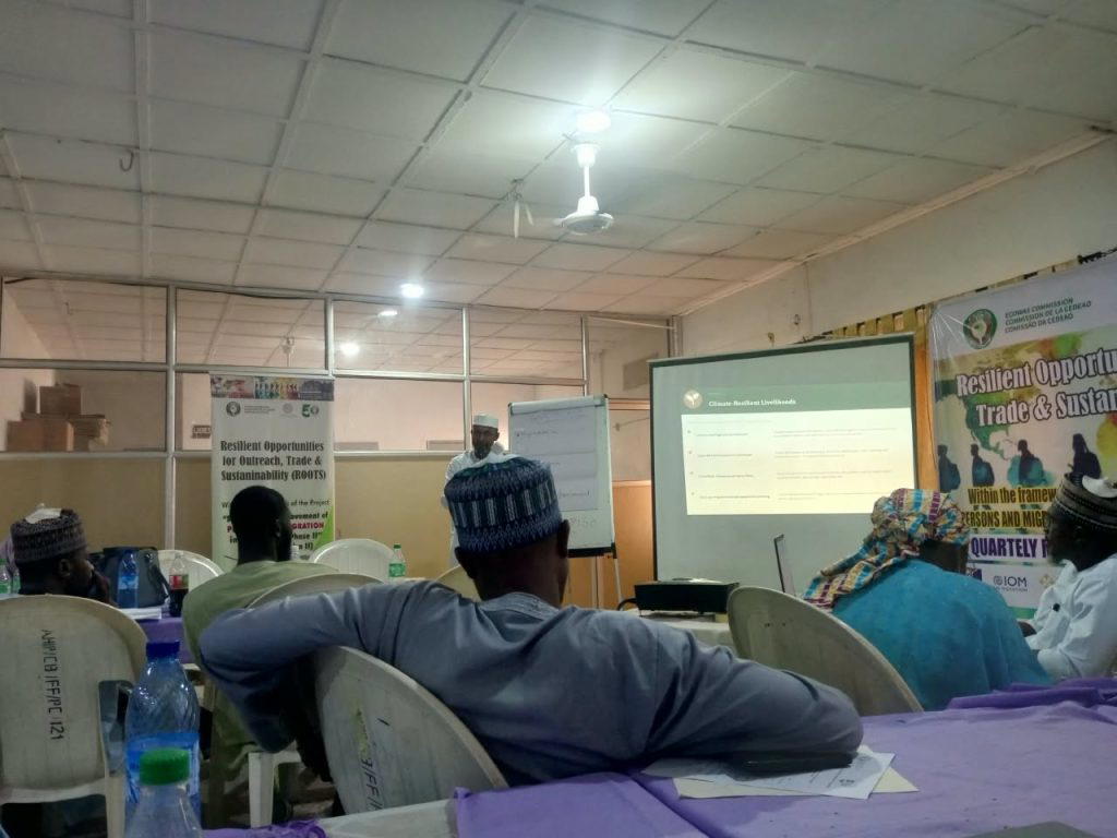 Kano receives returned migrants almost weekly — AHIP