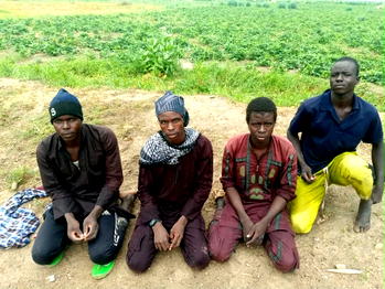 150 terrorists surrender as military pressure mounts in North-East