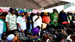 Mammoth crowd as PDP flags off presidential, NASS campaigns in Ogun Central