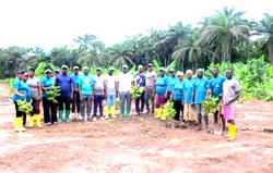 All Organic Farms expands production, targets global market