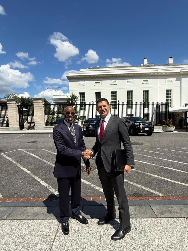Solid Minerals: Nigeria, US to deepen strategic partnership, investment
