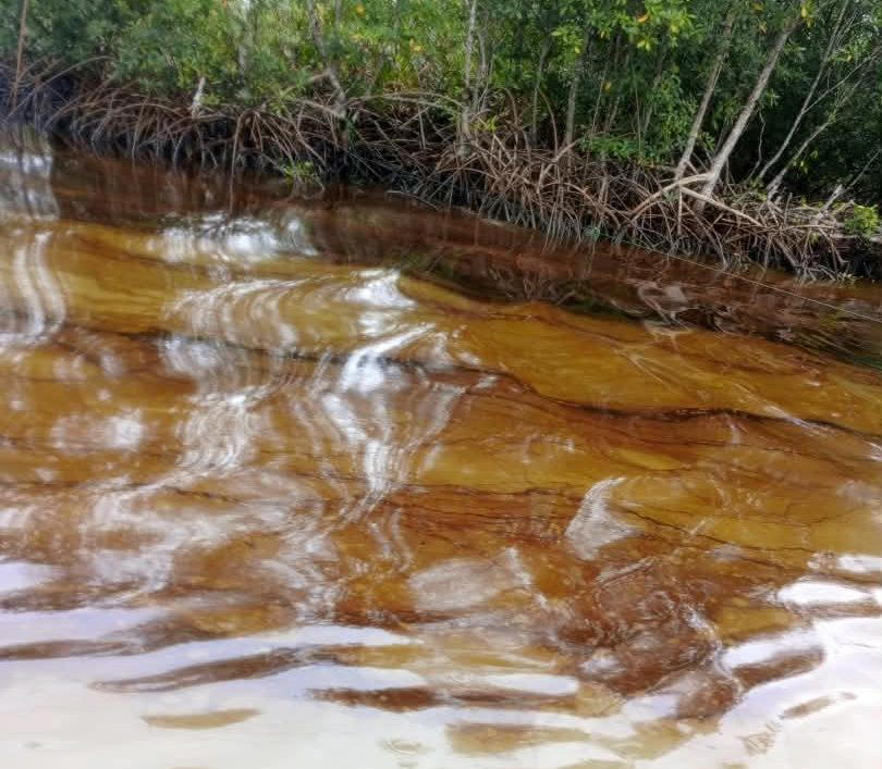 Oil spill hits 216 Delta communities, fish prices rise