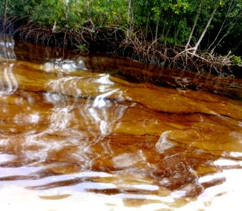 OML 42: Delta community threatens to shutdown oil operations over spill