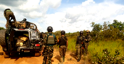 Troops rescue two kidnapped victims, recover 94 livestock in Kaduna, Kano