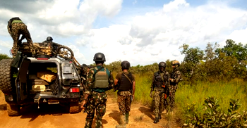 Troops rescue two kidnapped victims, recover 94 livestock in Kaduna, Kano