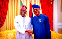 Tinubu, Wike, Akume listed as PFIPC board members, Reps raise questions