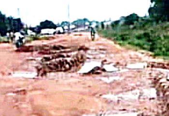 Agricultural boom turns to bust in Delta community as Federal road decays 