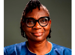 Top inspiring buisness leaders driving Nigerias Economic growth: Chams Holdco plc