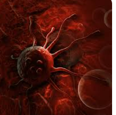 Cells that cheat Death: New clue to why some cancers return